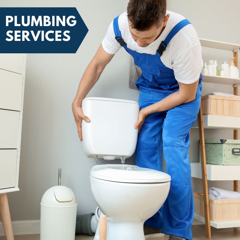 Plumbing Company in Lyons, MI